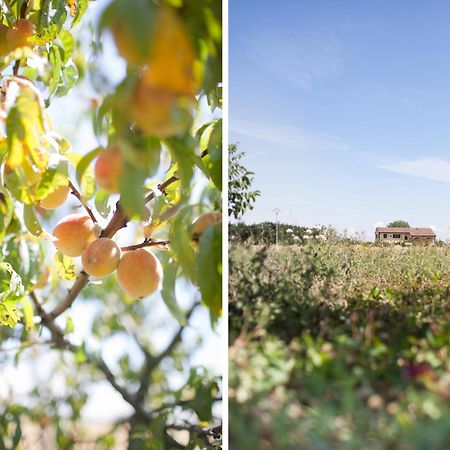 Agriturismo Il Mondo Pensionat Parma Eksteriør billede