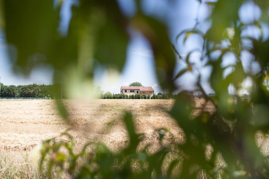 Agriturismo Il Mondo Pensionat Parma Eksteriør billede